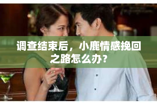 调查结束后，小鹿情感挽回之路怎么办？