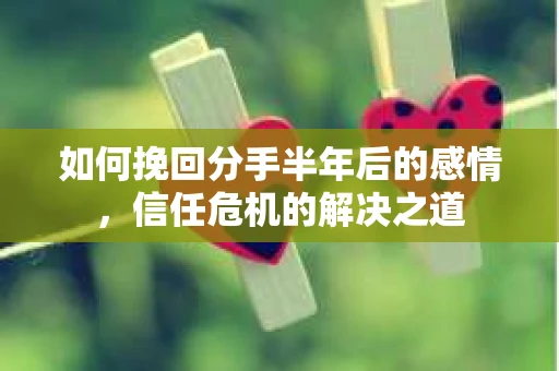 如何挽回分手半年后的感情，信任危机的解决之道
