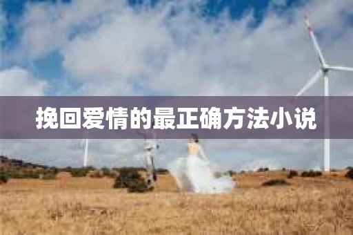 挽回爱情的最正确方法小说