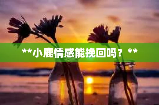**小鹿情感能挽回吗？**