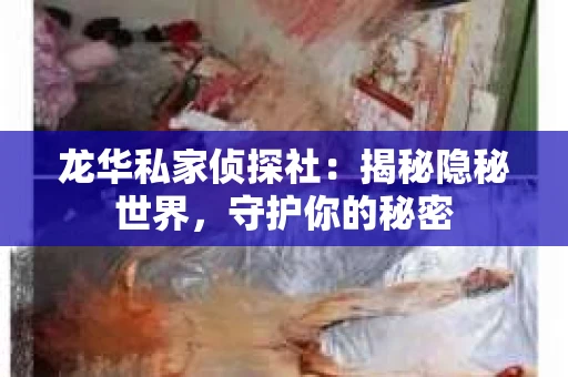 龙华私家侦探社：揭秘隐秘世界，守护你的秘密