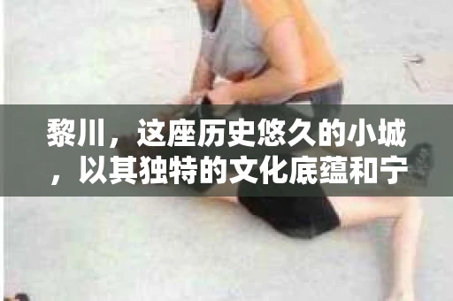 黎川,这座历史悠久的小城,以其独特的文化底蕴和宁静的生活节奏吸引着无数游客。然而,在这样一个看似平静的城市里,你是否会好奇,有没有私家侦探机构的存在呢?今天,就让我带你一探究竟。 黎川,这座历史悠久的小城,以其独特的文化底蕴和宁静的生活节奏吸引着无数游客。然而,在这样一个看似平静的城市里,你是否会好奇,有没有私家侦探机构的存在呢?今天,就让我带你一探究竟。