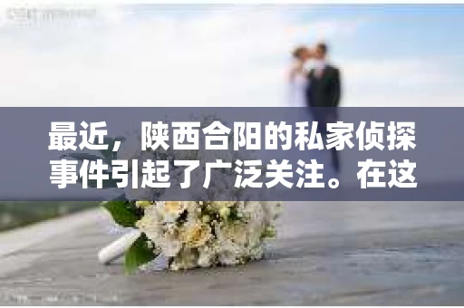 最近，陕西合阳的私家侦探事件引起了广泛关注。在这个信息爆炸的时代，隐私保护显得尤为重要。今天，我们就来聊聊这个事件，看看它背后的一些故事。