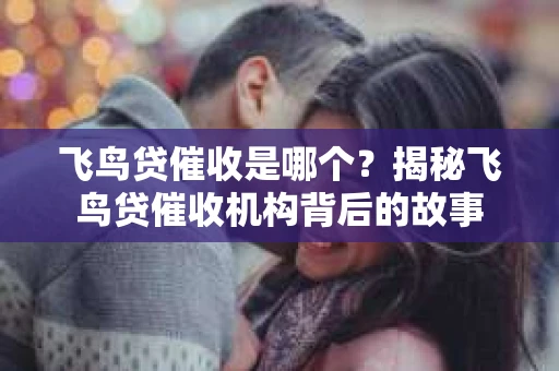 飞鸟贷催收是哪个？揭秘飞鸟贷催收机构背后的故事