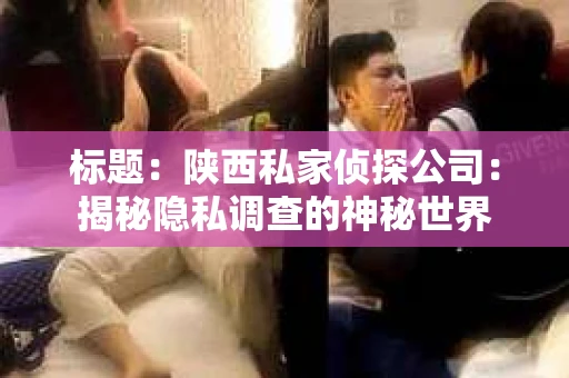 标题：陕西私家侦探公司：揭秘隐私调查的神秘世界