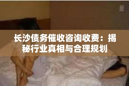 长沙债务催收咨询收费：揭秘行业真相与合理规划