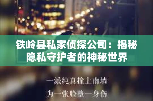 铁岭县私家侦探公司：揭秘隐私守护者的神秘世界