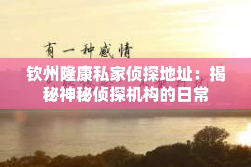 钦州隆康私家侦探地址：揭秘神秘侦探机构的日常