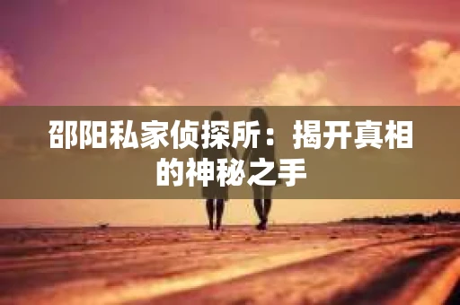 邵阳私家侦探所：揭开真相的神秘之手
