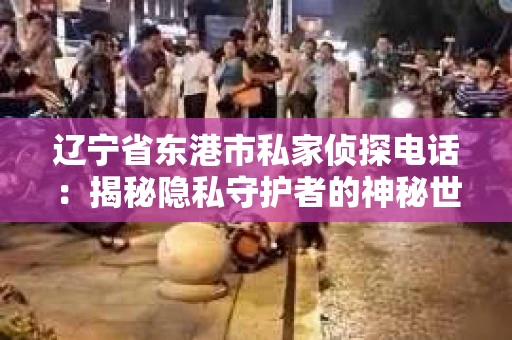 辽宁省东港市私家侦探电话：揭秘隐私守护者的神秘世界