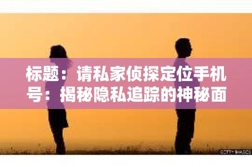 标题：请私家侦探定位手机号：揭秘隐私追踪的神秘面纱