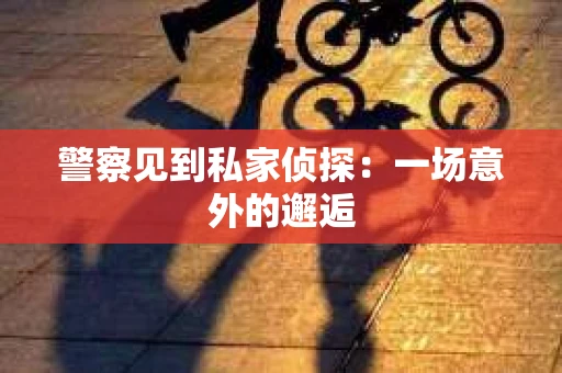警察见到私家侦探：一场意外的邂逅