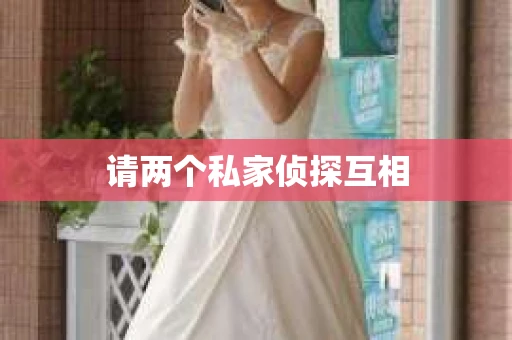 请两个私家侦探互相