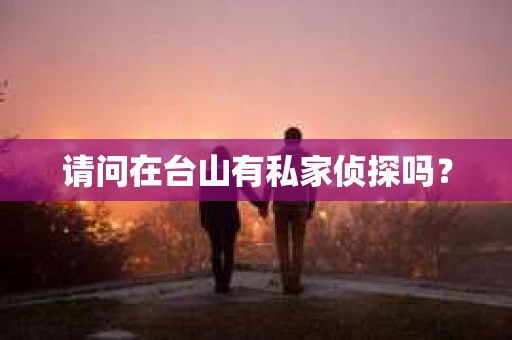 请问在台山有私家侦探吗？