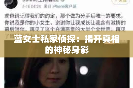 蓝女士私家侦探：揭开真相的神秘身影