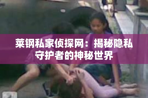 莱钢私家侦探网：揭秘隐私守护者的神秘世界