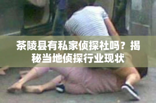 茶陵县有私家侦探社吗？揭秘当地侦探行业现状