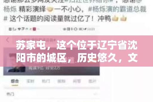 苏家屯，这个位于辽宁省沈阳市的城区，历史悠久，文化底蕴深厚。近年来，随着社会的发展，人们对于私家侦探的需求也逐渐增加。那么，苏家屯有私家侦探吗？今天，我们就来聊聊这个话题。