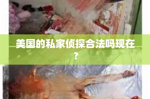 美国的私家侦探合法吗现在？