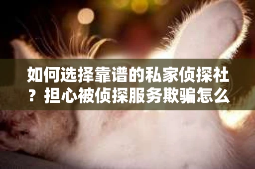 如何选择靠谱的私家侦探社?担心被侦探服务欺骗怎么办? 如何选择靠谱的私家侦探社?担心被侦探服务欺骗怎么办?