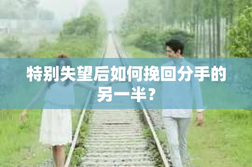 特别失望后如何挽回分手的另一半？