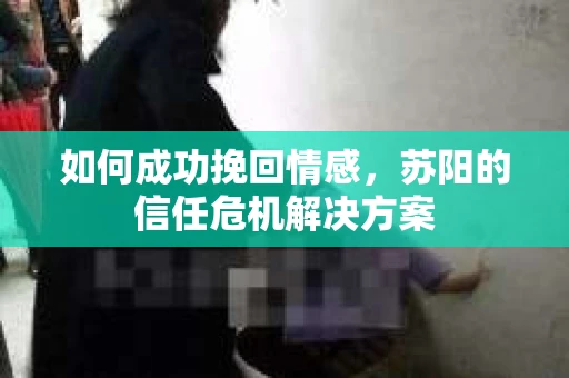 如何成功挽回情感，苏阳的信任危机解决方案