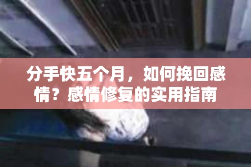 分手快五个月，如何挽回感情？感情修复的实用指南