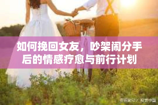 如何挽回女友，吵架闹分手后的情感疗愈与前行计划