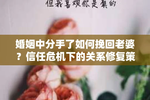 婚姻中分手了如何挽回老婆？信任危机下的关系修复策略