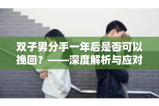 双子男分手一年后是否可以挽回？——深度解析与应对策略